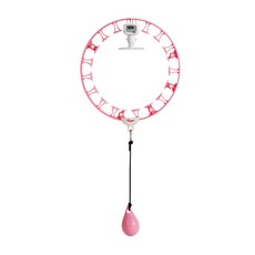 테제와 5세대 스마트 훌라후프 뱃살다이어트 지압효과, 1개