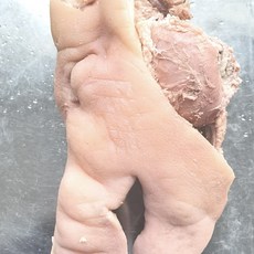 (배터짐) (특가도매)국내산 삶은 돼지머리 한마리분 3kg내외, 1개