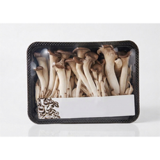 느타리버섯 무농약 특등급 맛타리 1kg, 5개, 200g