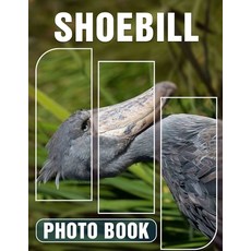 (영문도서) Shoebill Photo Book: Explore The Enigmatic Shoebill Through 40 Stunning Captiva... Paperback, Independently Published, English, 9798302727312