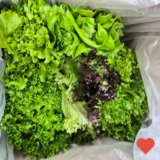 무농약 샐러드 채소 1kg, 1g, 1개