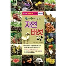 [중고] 자연 버섯 도감 (개정판) | 석순자 장현유 외 | 푸른행복 | 2017년
