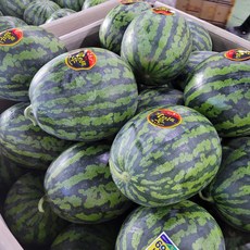 고당도 맛있는 꿀수박 3KG 4KG 5KG 6KG내 1개입 흑수박, 수박 4KG내외(1개입), 1개, 4KG내외