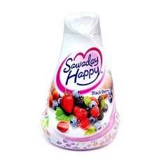 全店精選 【30天熱銷5966件】日本小林製藥 空氣清新劑固體香氛 衣櫃香薰 厠所除臭 芳香消臭元, 1個, 黑莓香