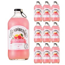 분다버그 핑크 그래이프푸르트 탄산음료, 375ml, 10개
