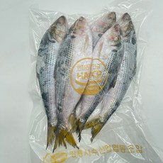 급냉 동해안 전어 (구이용) 1kg (4-5미 내외), 1세트