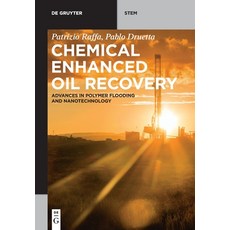 Chemical Enhanced Oil Recovery Paperback, de Gruyter, English, 9783110640243