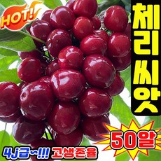 [쉬운재배] 50/100/200/300 체리 씨앗 모종 집에서 키우는 체리 종자 실내 화분용 달콤함 A급 과육 TENFOC, 50개