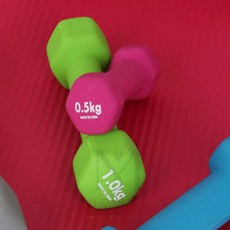 모어팩 홈트덤벨 아령 1Kg 그린
