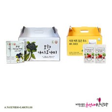 YS04 AE 건강파우치 종합선물 A 가시오가피30 E ABC주스30팩 윤선애선인장 특산물, 100ml