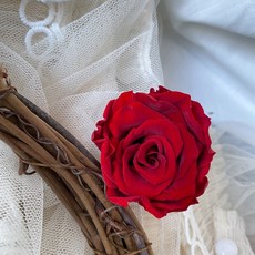 大地農園永生玫瑰 裸色奶茶色系 求婚花束 永生花批發 乾燥花色系, b-熾熱酒紅
