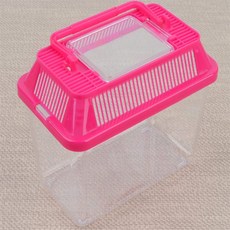 짱이상회 곤충 채집통 미니 곤충통