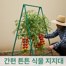 고추 오이 방울 토마토 키우기 좋은 튼튼한 철제 식물 지지대 (간편 세트)