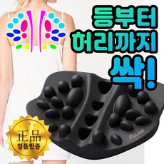 풀리시오 견갑골 마사지기 운동기구, 블랙