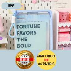 정품 스트랩 손잡이 A4 투명 서류보관파일케이스, 블루, 1개