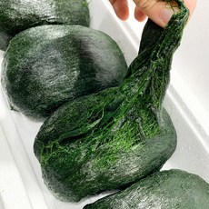 하라네 완도 매생이 햇 찰매생이 생물 개별포장 산지직송 350-450g 2재기 3재기 5재기 10재기, 5개, 350g