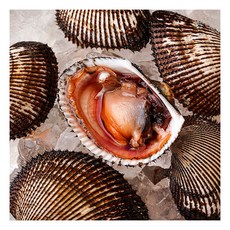 [자연맛남] [산지직송] 남해안 피조개 피꼬막 3kg 45-60미, 상세 설명 참조, 상세 설명 참조