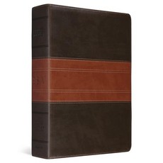 ESV Study Bible 일러스트 영어 성경 공부