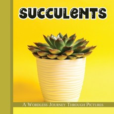 (영문도서) Succulents: A Wordless Journey Through Pictures Paperback, Independently Published, English, 9798463671080