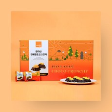 제주도 한라산 천혜향초코크런치 기념품, 24개, 9g