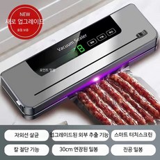 가정용 진공포장기 진공압축기 기계 음식 압축기, 칼날형 지존 그레이 + 100개 봉투