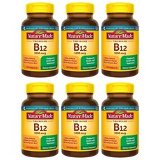 Nature Made 네이처메이드 비타민 B12 1000mcg 160정, 6개