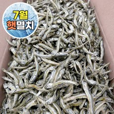 가락시장521 국산 햇 고바멸치 상급 중멸치 안주용 볶음용 고추장멸치, 1.5kg, 1개