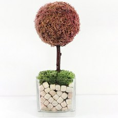 모스트리 순록이끼나무 핸드메이드 스칸디아모스, 망고, 1개