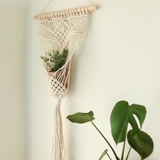 플랜테리어 행인 플렌트 꾸미기 마크라메, 푼트