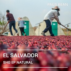 생두대빵 엘살바도르 SHG EP 내추럴 생두, 1개, 500g