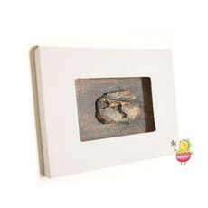 공룡 화석 액자 만들기5명용 공룡화석발굴키트