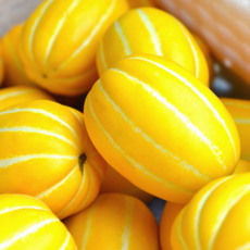 [첫수확 고당도] 성주 참외 산지직송, 1박스, 가정용 성주참외 1kg (랜덤과)