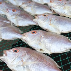 명인인 반건조 참돔 1마리 1Kg 전후 반건조 후 500g, 1개
