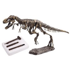 고대생물 화석발굴 체험키트 공룡화석 대 돌봄교실 공룡발굴키트 어린이과학, 1세트, 티라노사우루스
