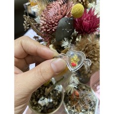 泰國象神 愛心象神 象神寶寶, 1個