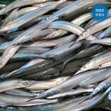 자연산 당일조업 생물 제철 학꽁치 필렛 원물 횟감, 1개, 500g (원물)