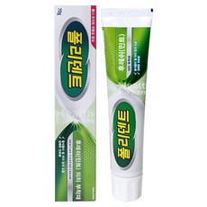 폴리덴트 후레쉬(민트) 의치 부착재 70g/틀니 접착크림/틀니부착제, 1, 1개