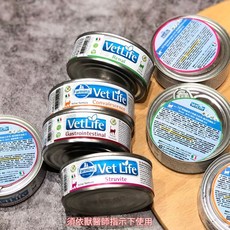 Farmina 法米納 VetLife 貓咪處方罐系列 85g 腎臟照護 血糖管理 腸胃健康 獸醫推薦, 1個, FC-9051 血糖管理, 糖尿病管理