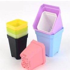 더번지 화분 칼라, 소 - 화이트