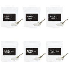 NMN 파우더 10g NMN 10000mg 분량 에이징 케어 영양제 순도 100%, 6개