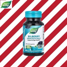 네이처스웨이 빌베리 추출물 Bilberry 90캡슐, 90정, 1개