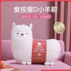 可愛造型按摩抱枕，生日聖誕情人節禮物首選，送女友閨蜜媽媽創意禮物, USB充電款【按摩+熱敷+拆洗】充插0,送隔熱小涼蓆，禮品袋