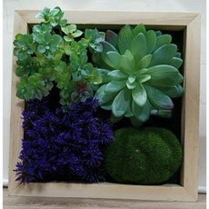 仿真牆面植物掛飾(B) 20x20cm (全新) - 打造清新自然的居家空間, Green