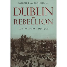 (영문도서)Dublin in Rebellion: A Directory 1913-1923 Paperback, Lilliput Press, English, 9781843511373