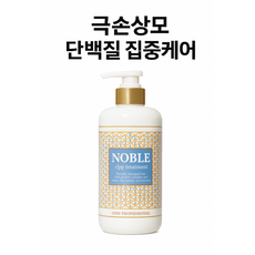 노블 CLPP 단백질 트리트먼트 극손상모 케어 열손상 컬러모발 회복 대용량, 2개, 500ml