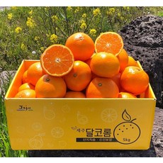 품질성이 가장중요하겟죠 동명 달고부드러운 제주 진지향 신품종 1kg 로얄과 믿을수잇는냐가 중요하죠, 1개