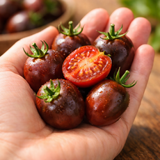 [열매라이프] 짭짤이 대저 흑대추 방울토마토 고당도 8브릭스 이상 프리미엄 산지직송, 1개, 대저 흑대추 방울토마토 넉넉한 가정용 1.5kg