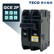東元 QCE 2P 卡式無熔絲斷路器, 1個, 220V 5KA,2P 100A