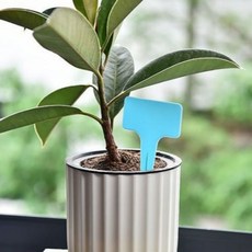 T자형 식물 원예 이름표 스카이블루 화분이름표 나무이름표 꽃이름표 텃밭이름표 식물네임텍 식물이름표 화분라벨 식물라벨 텃밭네임텍 식물팻말+노드커머스Shop, 빠른배송