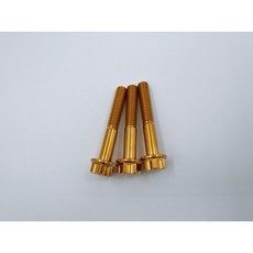 【TiONLY】鈦鴻利 正鈦螺絲 M8*50 特外六角, 金色, 1個